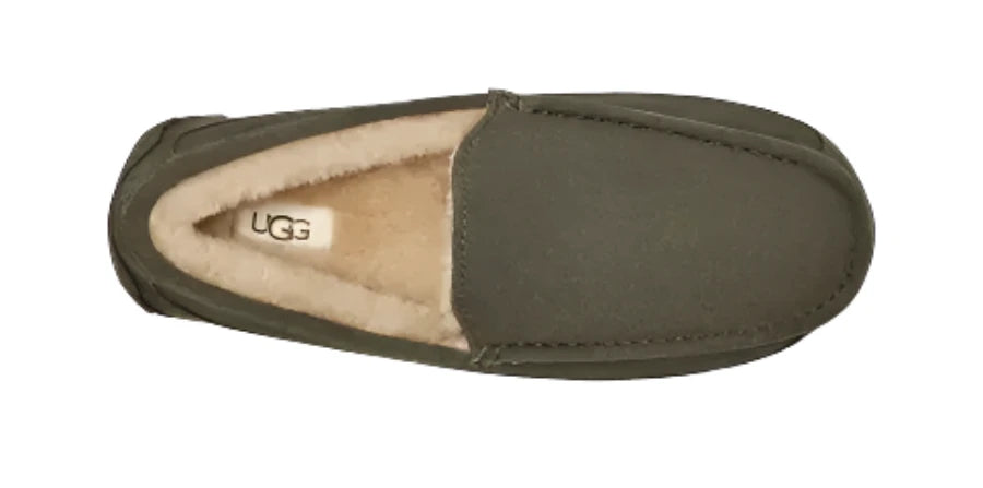 MEN'S UGG ASCOT SLIPPER | FOREST NIGHT