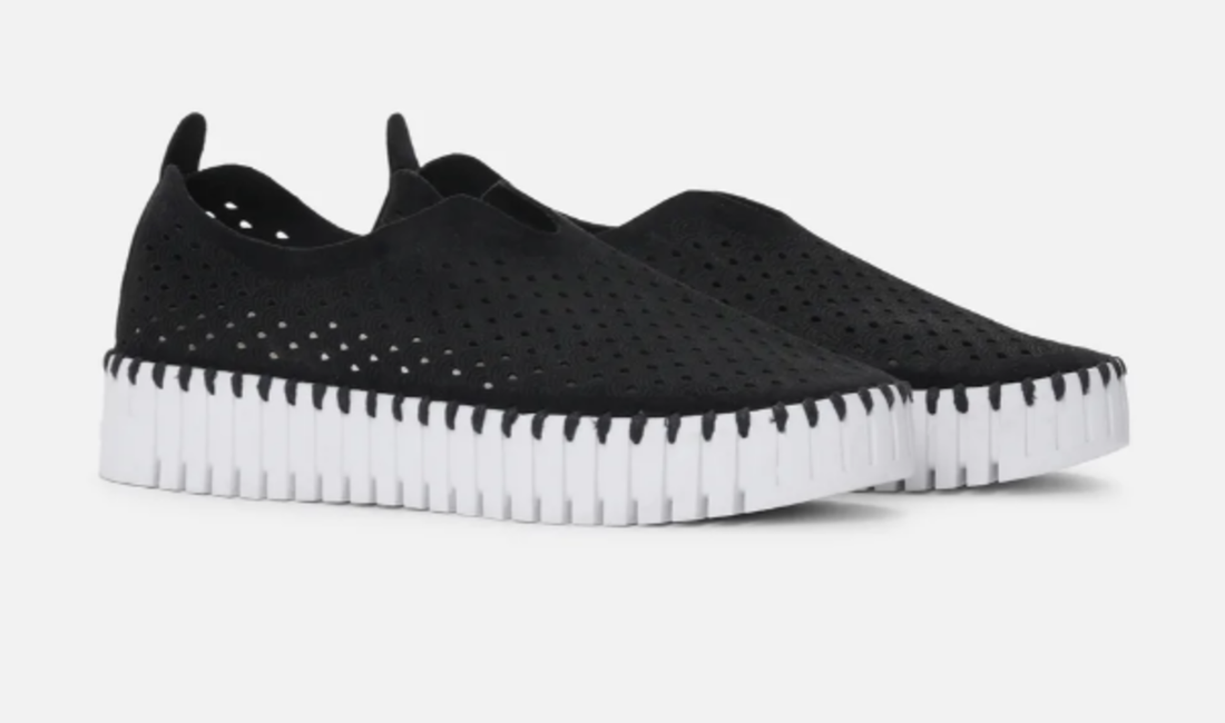 WOMEN'S ILSE JACOBSEN TULIP 139 SLIP-ON | BLACK / WHITE