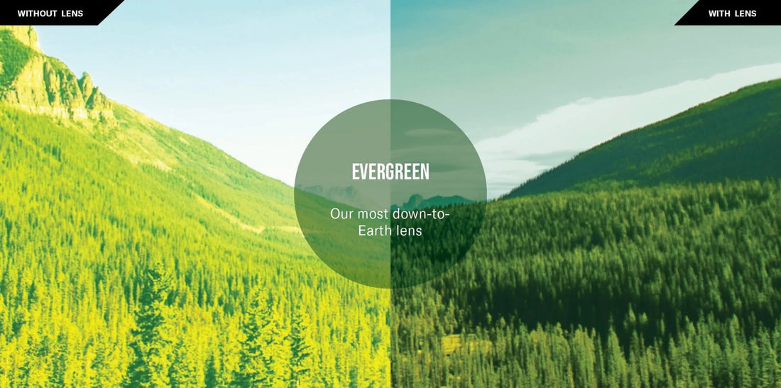 MEN'S REVO WINSTON | BROWN HORN / EVERGREEN