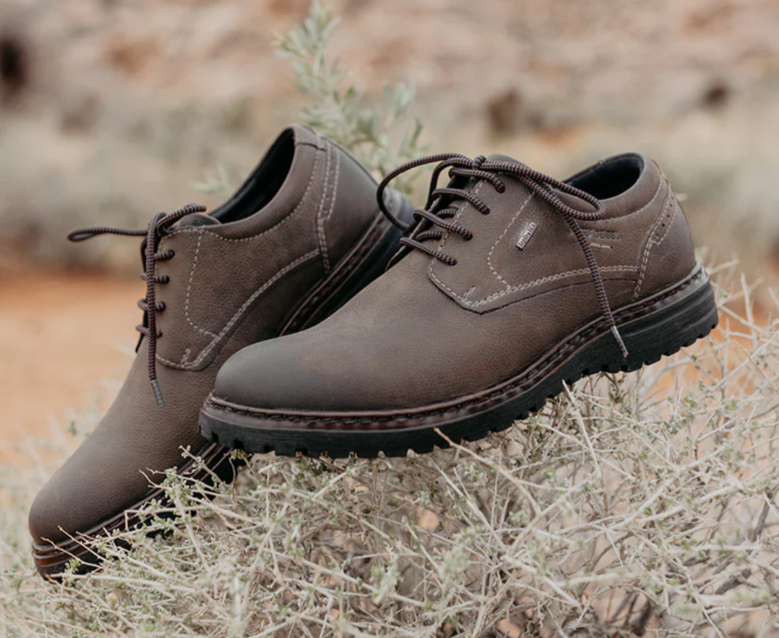 MEN'S JOSEF SEIBEL ERROLL 50 | FANGO