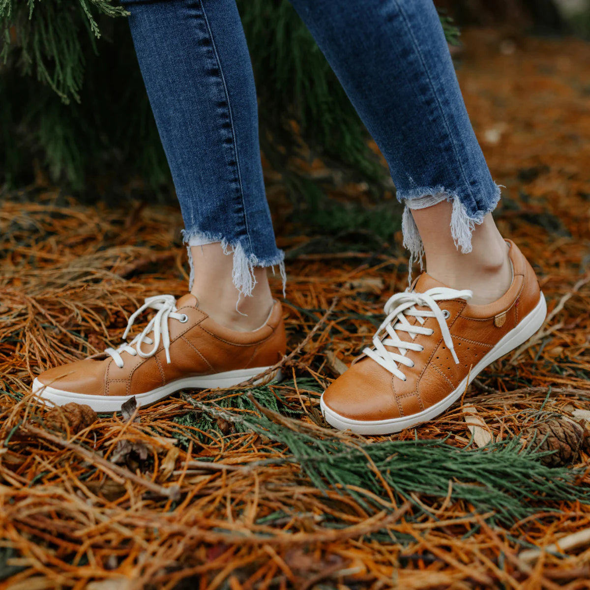JSWS23-Caren01Camel- JSWS23-Caren01Camel-
