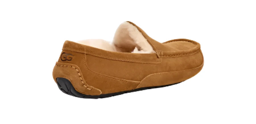 MEN'S UGG ASCOT SLIPPER | CHESTNUT