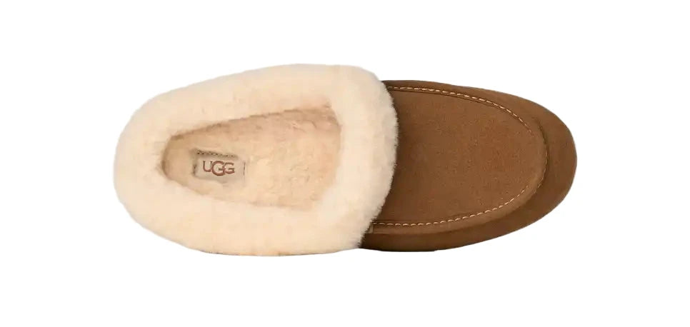 WOMEN'S UGG ANSLEY MULE | CHESTNUT
