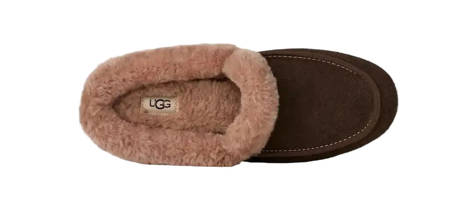 WOMEN'S UGG ANSLEY MULE | DUSTED COCOA