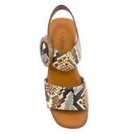 WOMEN'S GABOR 84.520.36 | PYTHON COMBI