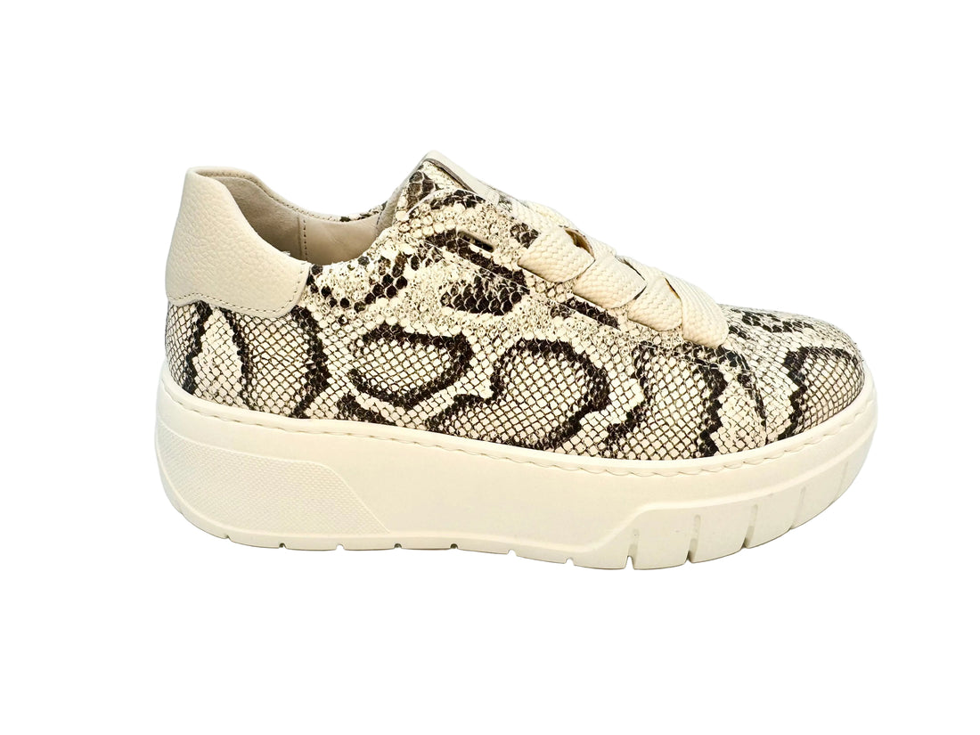 WOMEN'S GABOR 83.222.31 | PYTHON PASTELLE