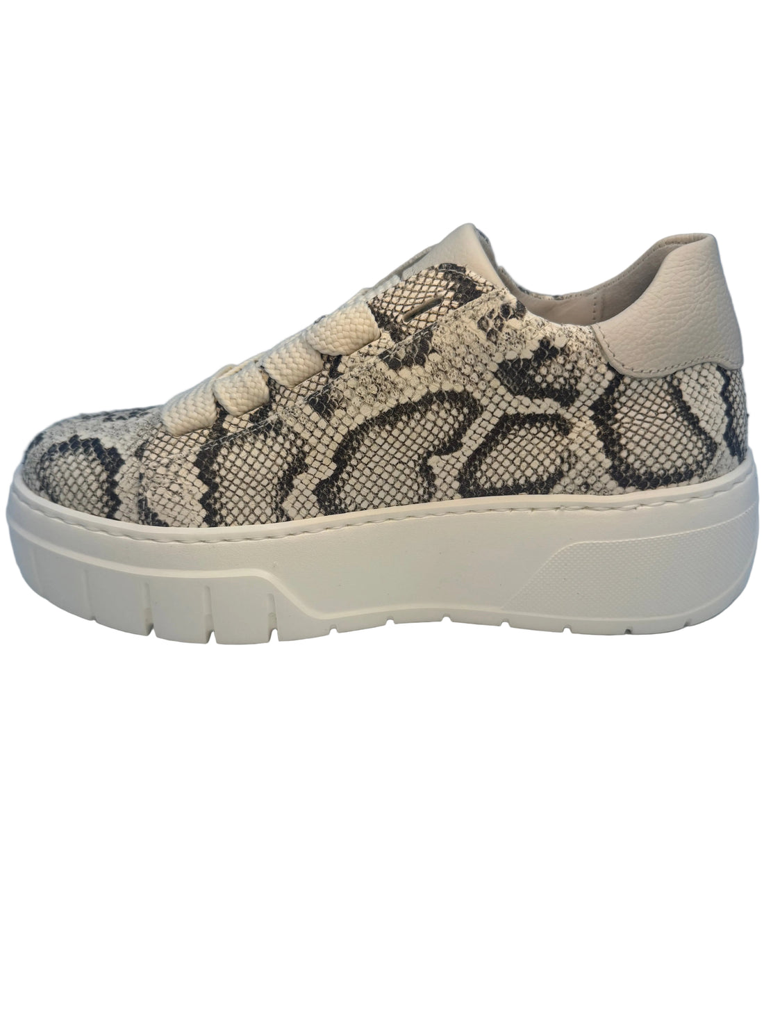 WOMEN'S GABOR 83.222.31 | PYTHON PASTELLE