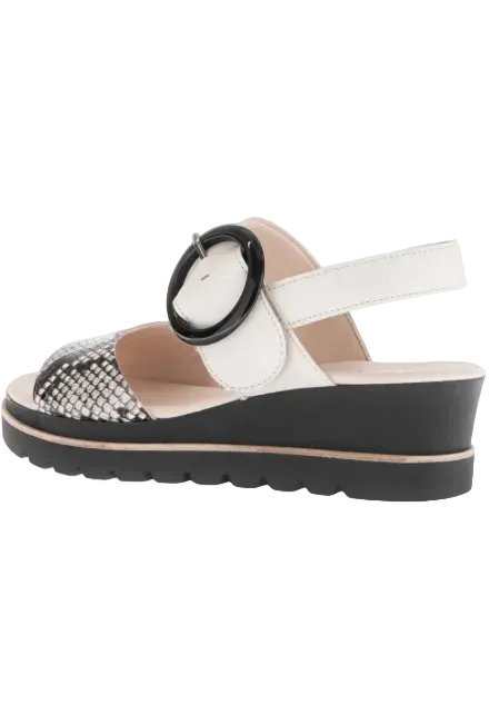 WOMEN'S GABOR 64.645.49 SANDAL | MUSCHEL