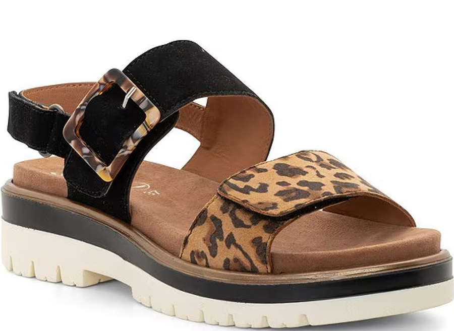 WOMEN'S ARA MARBELLA SANDAL | BLACK / LEOPARD