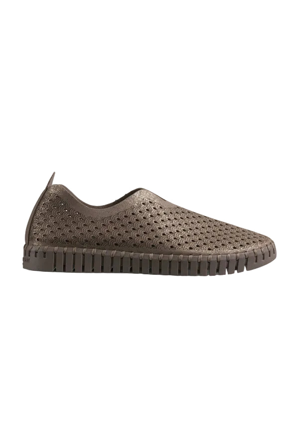 WOMEN'S ILSE JACOBSEN TULIP 3224 | FALCON FALCON