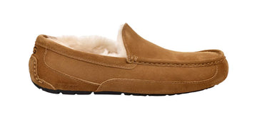 MEN'S UGG ASCOT SLIPPER | CHESTNUT