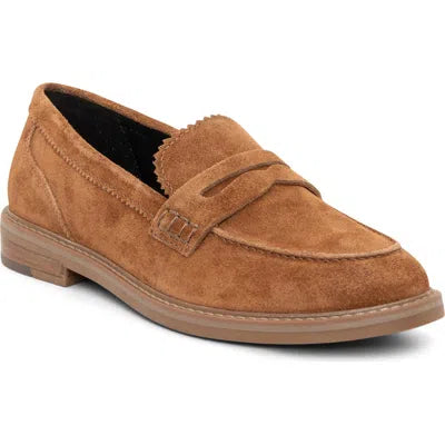 WOMEN'S ARA KALENDRA | NUTS SUEDE