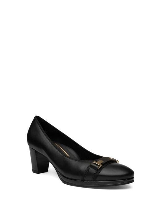 WOMEN'S ARA OPHELIA BUCKLE | BLACK