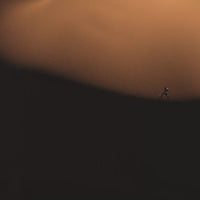 MEN'S MOUNT TO COAST T1 | DUNE
