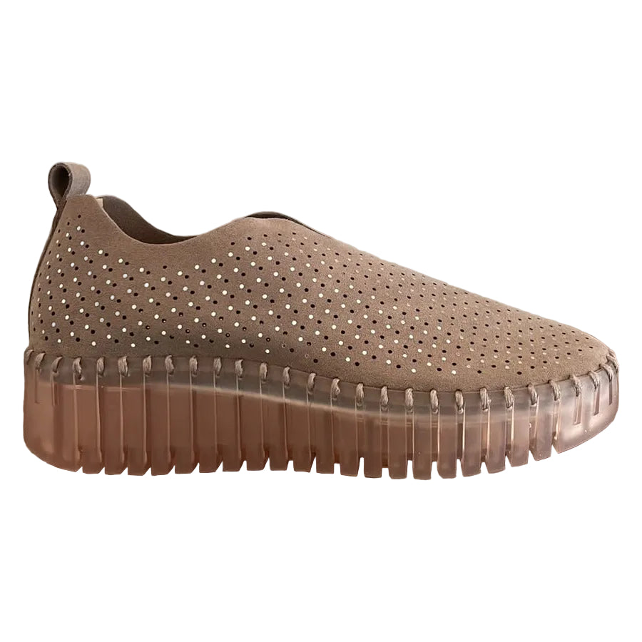 WOMEN'S ILSE JACOBSEN TULIP 3081 | FALCON TRANSPARENT